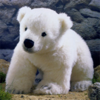f:id:rockychack:20110219214555j:image