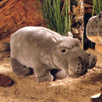 f:id:rockychack:20110219214556j:image