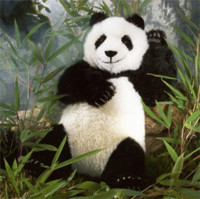 f:id:rockychack:20110219214557j:image