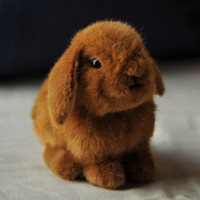 f:id:rockychack:20110219214558j:image