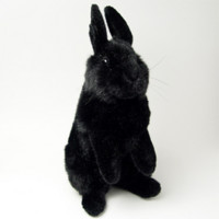 f:id:rockychack:20110219214600j:image