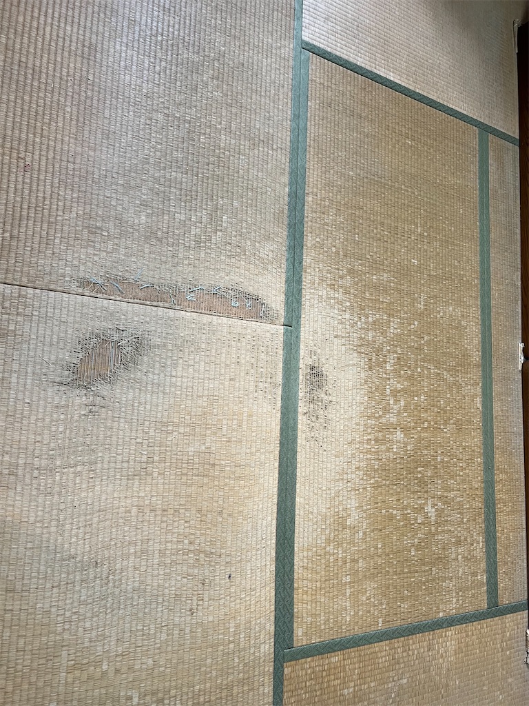 f:id:rockymuseum:20250928093121j:image