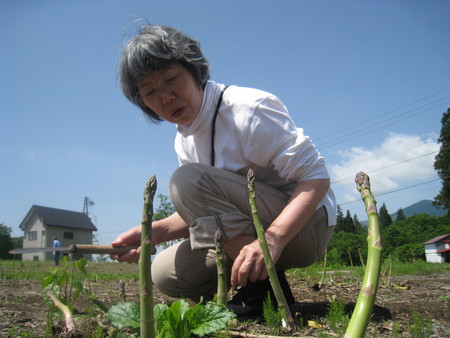 f:id:rocohouse:20080601100527j:image:h100