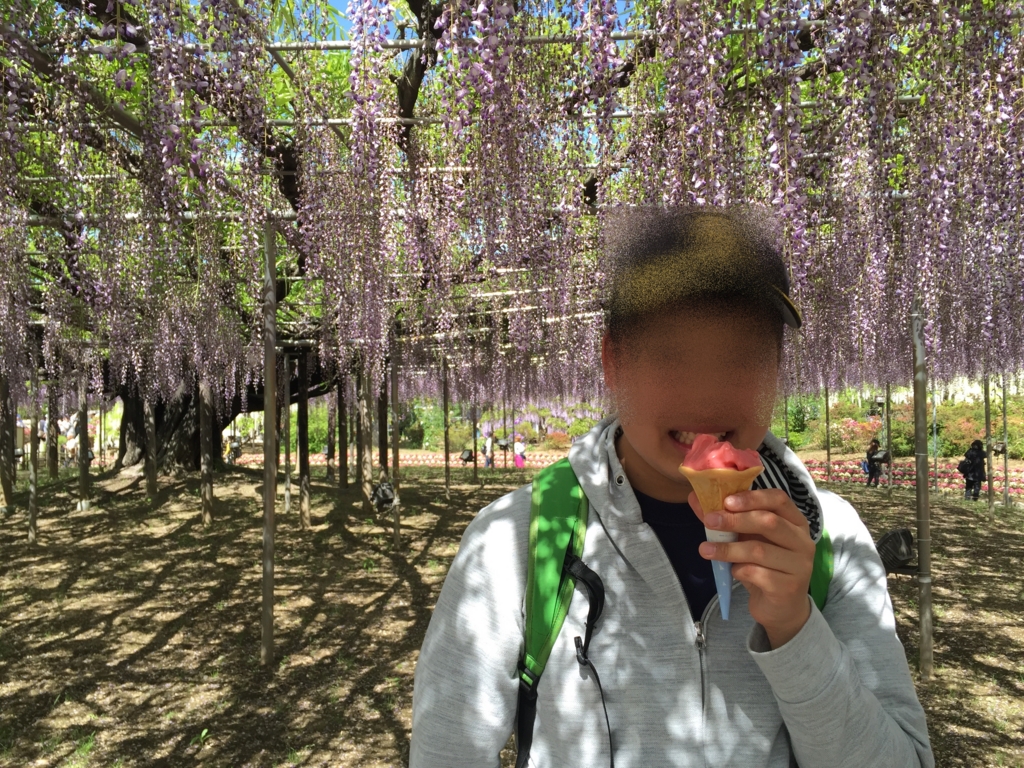 f:id:rocorinne:20160505201505j:plain