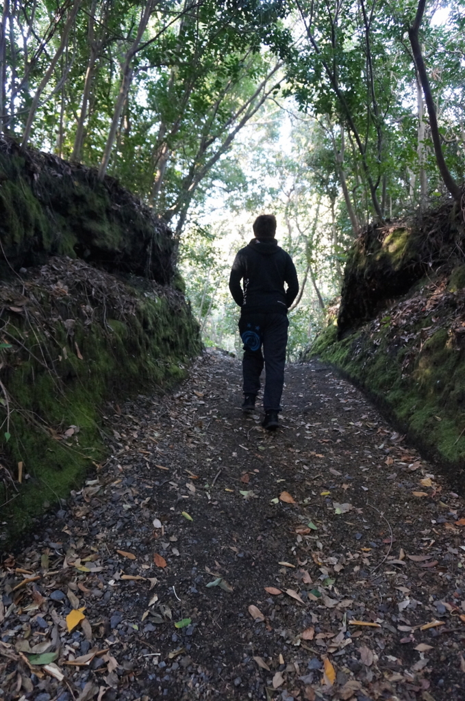 f:id:rodantanbike:20170126010613j:plain