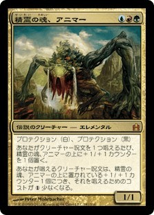 精霊の魂、アニマーについて考える - ロダーシャの考察