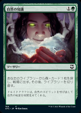 f:id:rodasha:20241216184033j:image