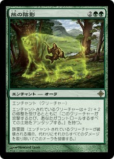 熊の陰影 熊の陰影