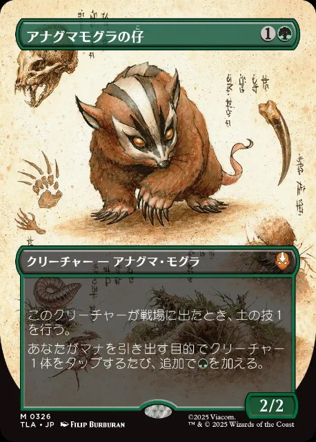 MTG 日本語版　アナグマモグラの仔　3枚セット アナグマモグラの仔について考える - ロダーシャの考察