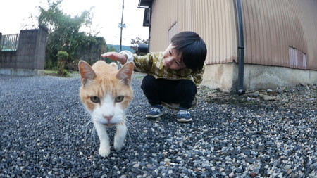 f:id:rodehihi:20181020163153j:image f:id:rodehihi:20181020163153j:image