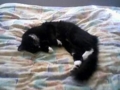 20100415102128
