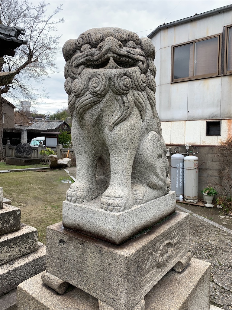 f:id:rogipapa:20191231105411j:image f:id:rogipapa:20191231105411j:image