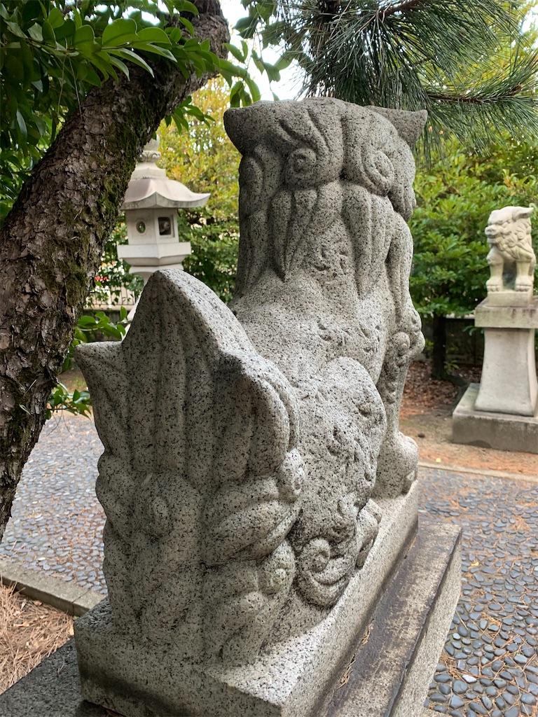 f:id:rogipapa:20200228195258j:image f:id:rogipapa:20200228195258j:image