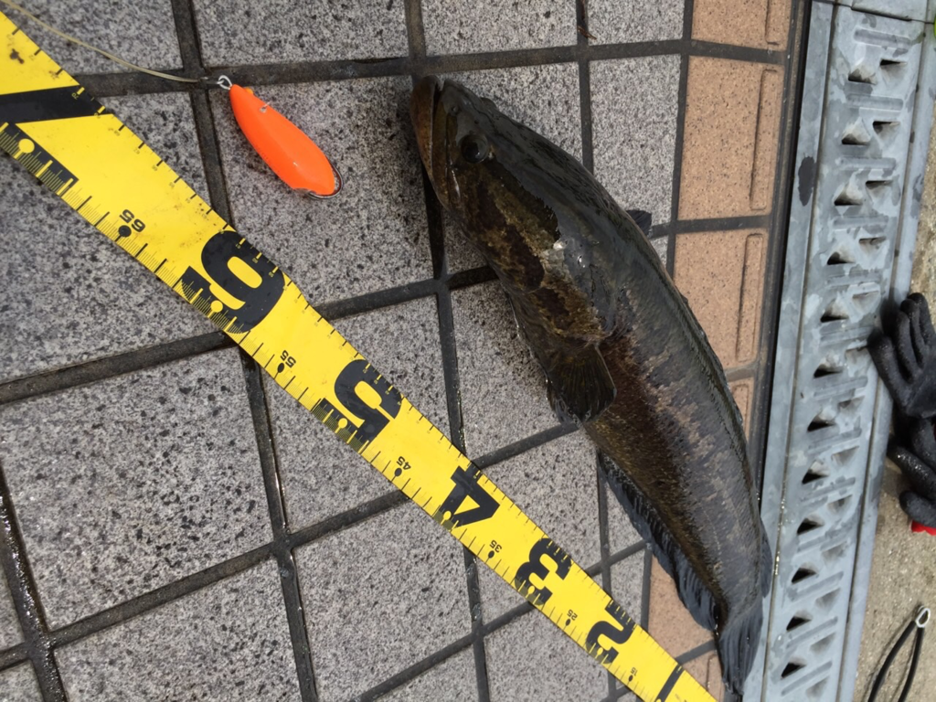 f:id:roi2:20170413235436p:plain