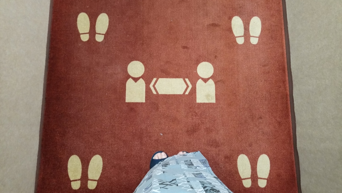 フカヒレとは 食の人気 最新記事を集めました はてな