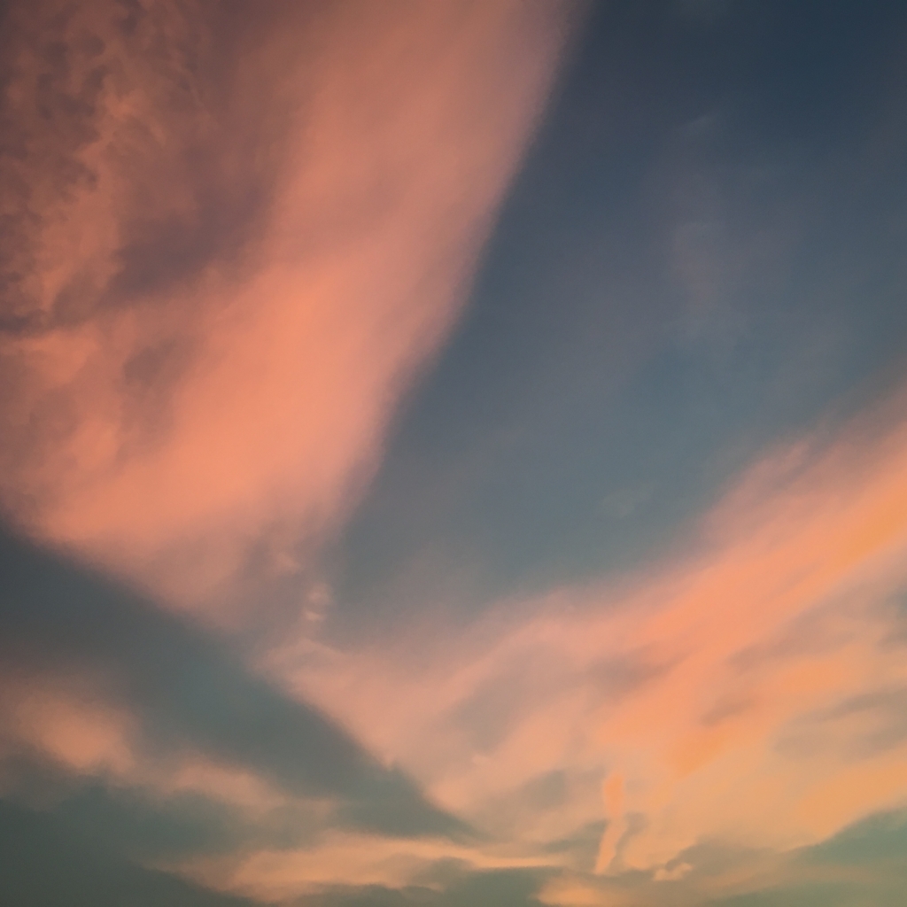 f:id:roji-ura:20180718001507j:plain f:id:roji-ura:20180718001507j:plain