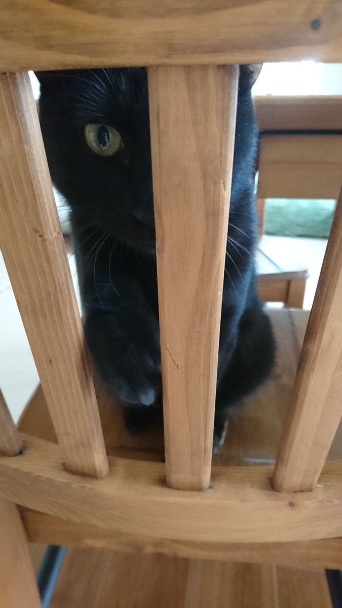 f:id:roka1111:20191215000456j:plain