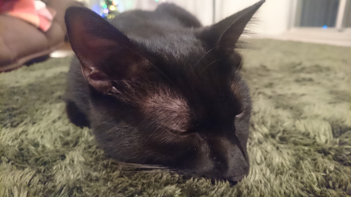 f:id:roka1111:20191222193232j:plain