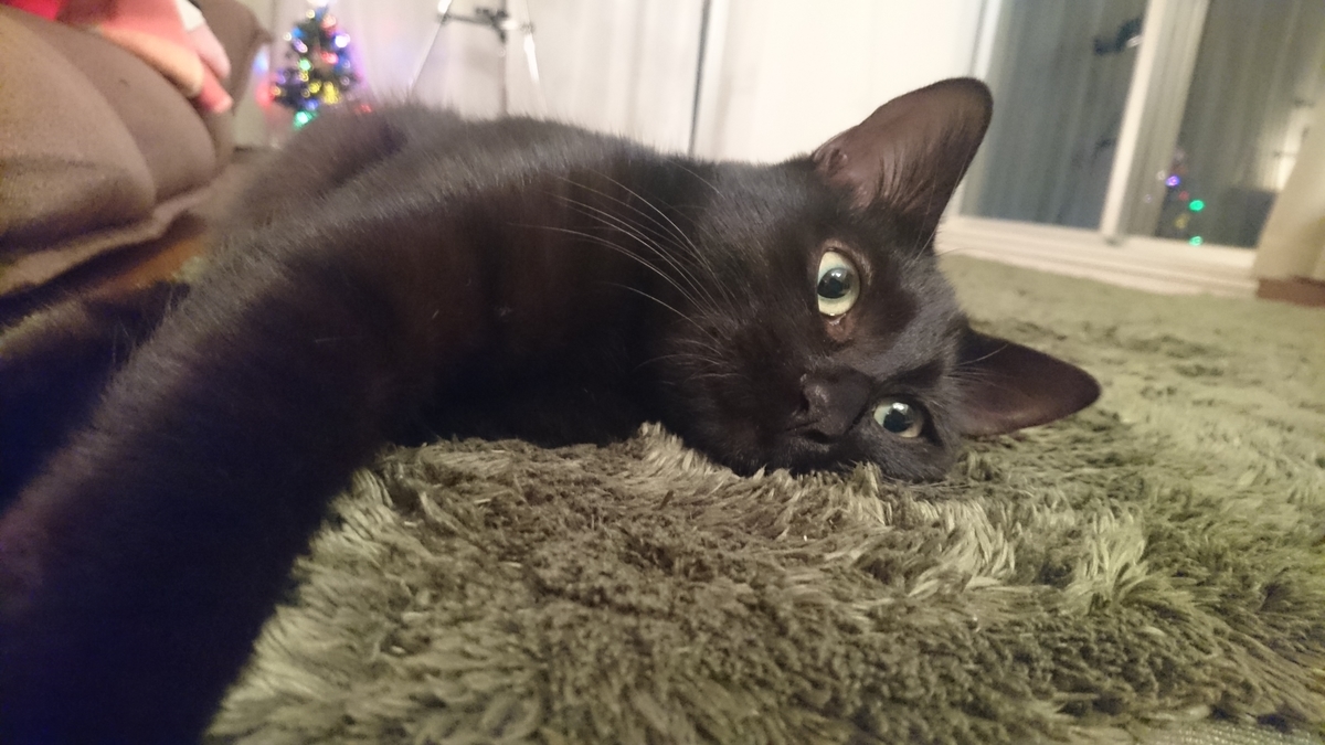 f:id:roka1111:20200103213837j:plain