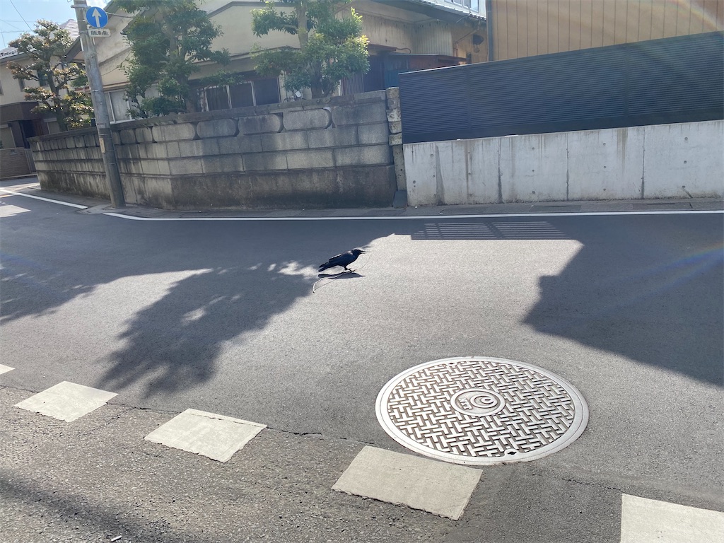 f:id:rokarioum:20220320190433j:image f:id:rokarioum:20220320190433j:image