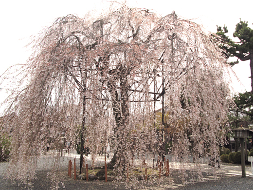 f:id:rokaz:20100405205444j:image f:id:rokaz:20100405205444j:image