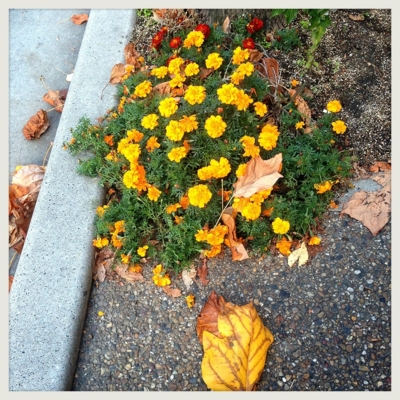 f:id:rokaz:20121127170601j:image