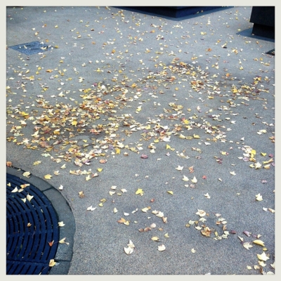 f:id:rokaz:20121127170815j:image