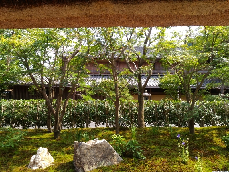 f:id:rokico:20190728183615j:plain