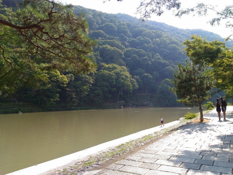 f:id:rokico:20190728184538j:plain