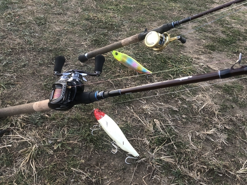 タトゥーラ tw 300 XH Left 左 ダイワ タトゥーラTW300 XH タトゥーラ