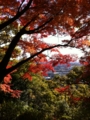 紅葉の保久良山から②