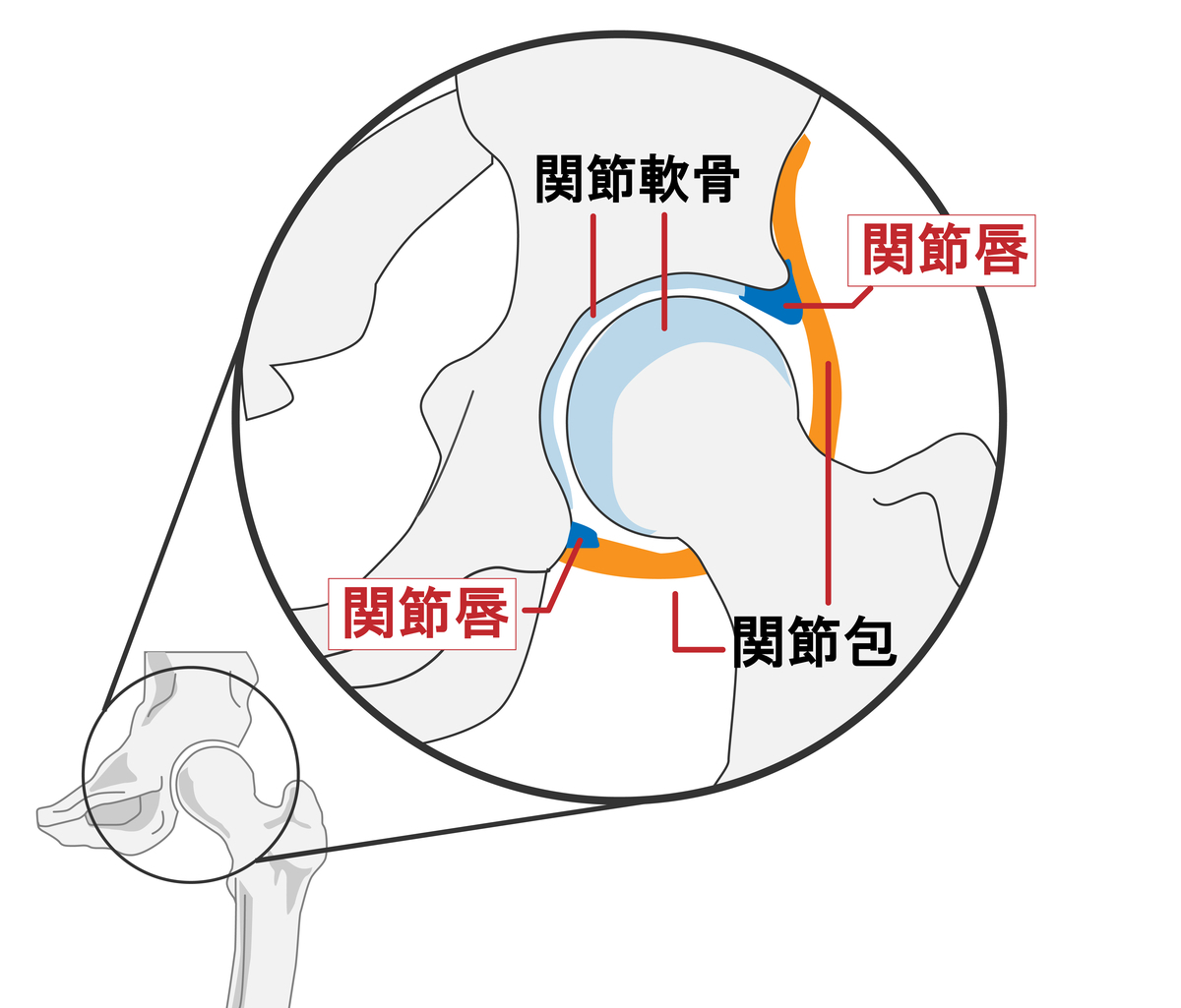 f:id:rokkotsu113:20200324181413j:plain f:id:rokkotsu113:20200324181413j:plain