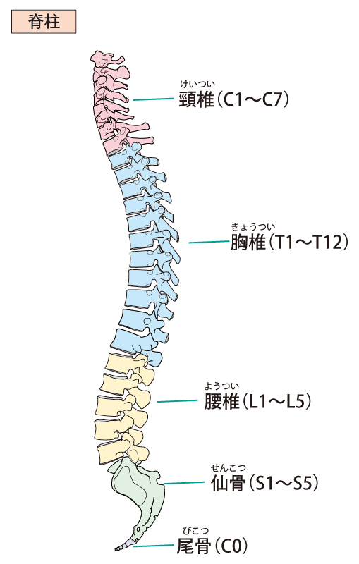 f:id:rokkotsu113:20200701092910p:plain f:id:rokkotsu113:20200701092910p:plain