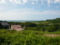 20090906193701