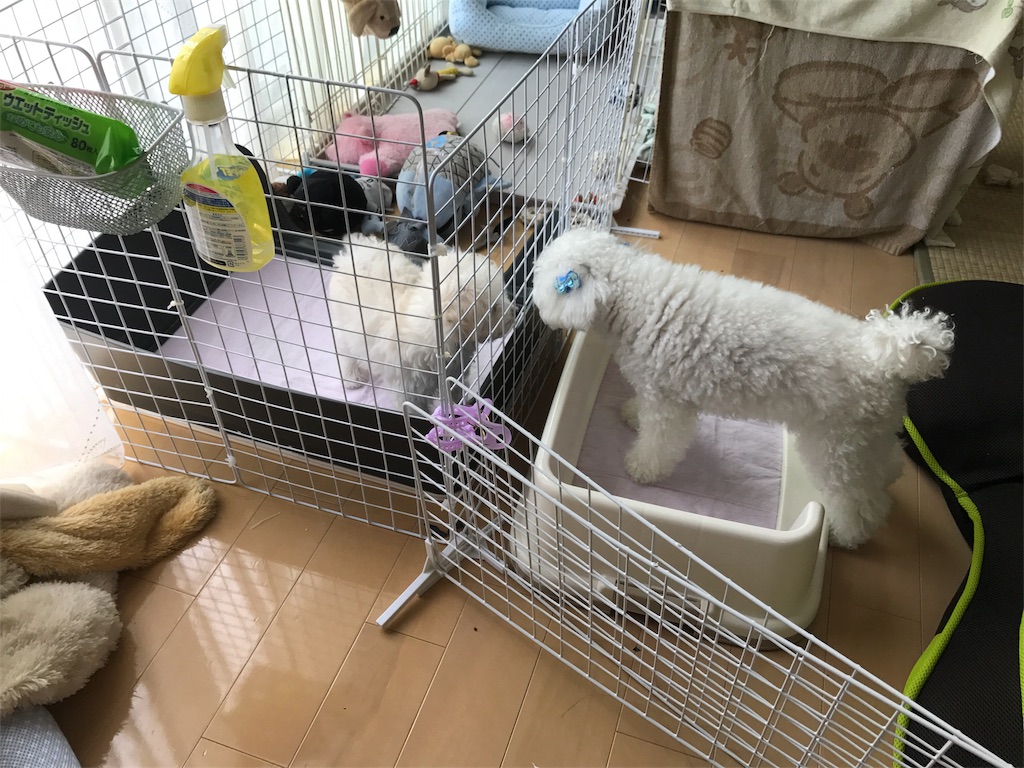 f:id:rokkoyuko:20170925100345j:plain f:id:rokkoyuko:20170925100345j:plain