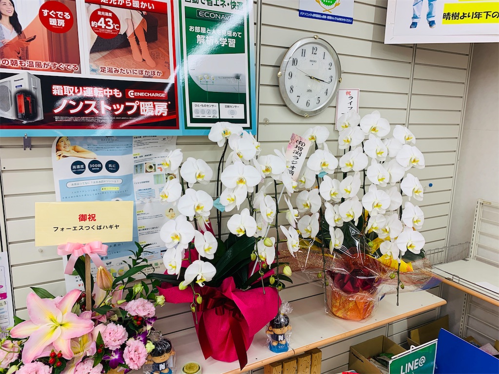 f:id:rokkoyuko:20190422142325j:plain