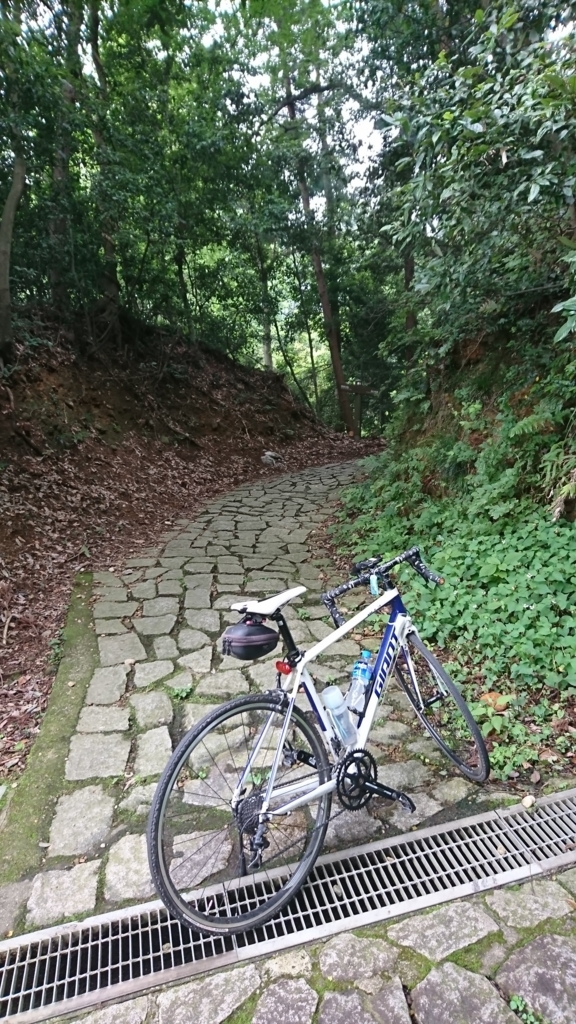 f:id:roku572:20180623231324j:plain f:id:roku572:20180623231324j:plain