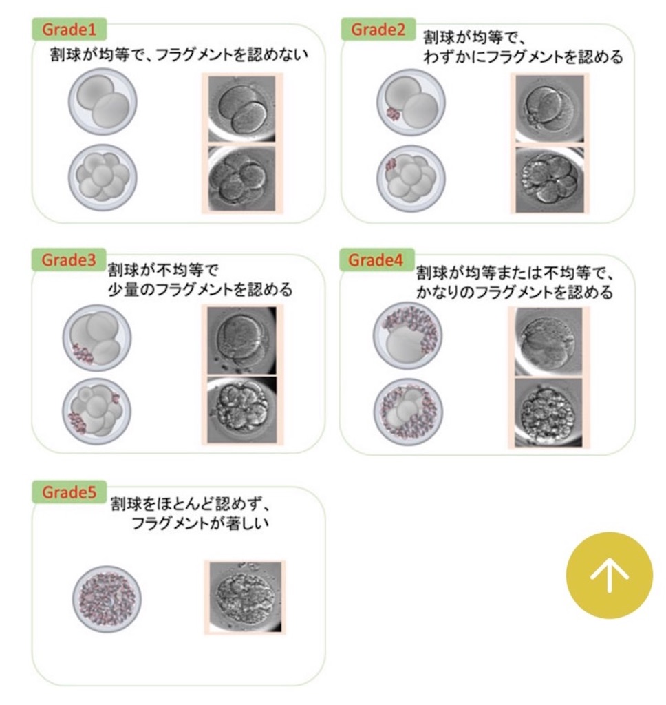 f:id:rokubun_no_ichi:20220128223401j:image f:id:rokubun_no_ichi:20220128223401j:image