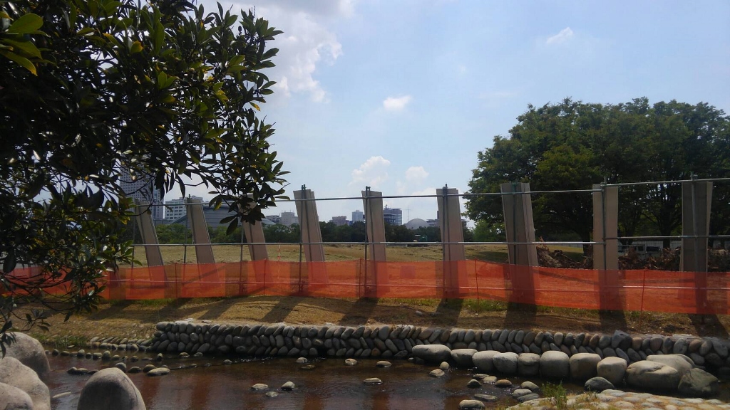 中央公園自由 芝生広場の樹木伐採 六の庭niwa 中央公園自由 芝生広場の樹木伐採 六の庭niwa