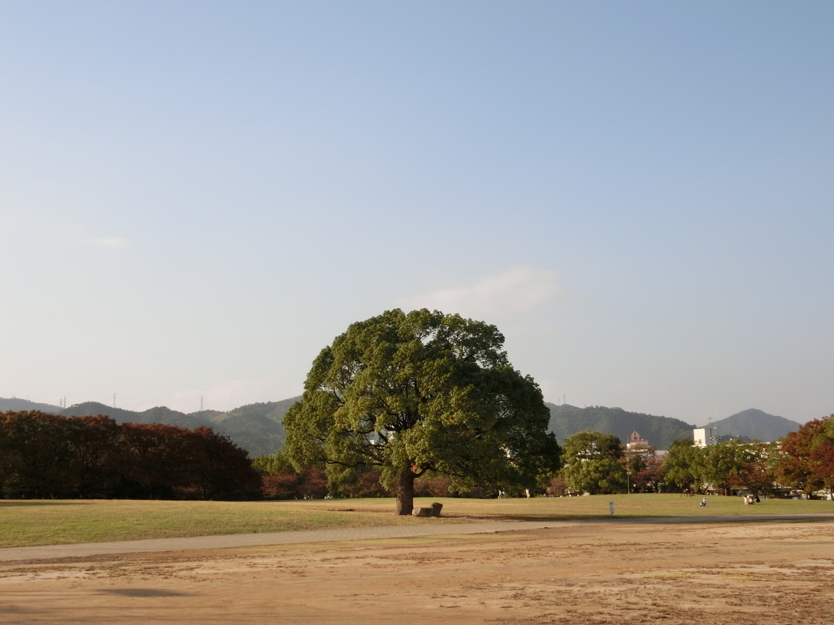 f:id:rokuniwa:20201009153510j:plain f:id:rokuniwa:20201009153510j:plain