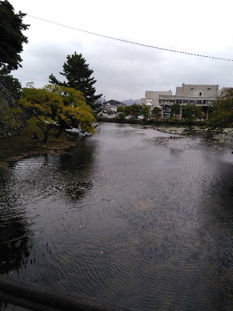 f:id:rokuren:20171113232747j:image