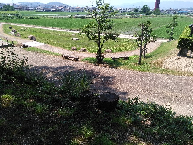 f:id:rokuren6:20180720233434j:image f:id:rokuren6:20180720233434j:image