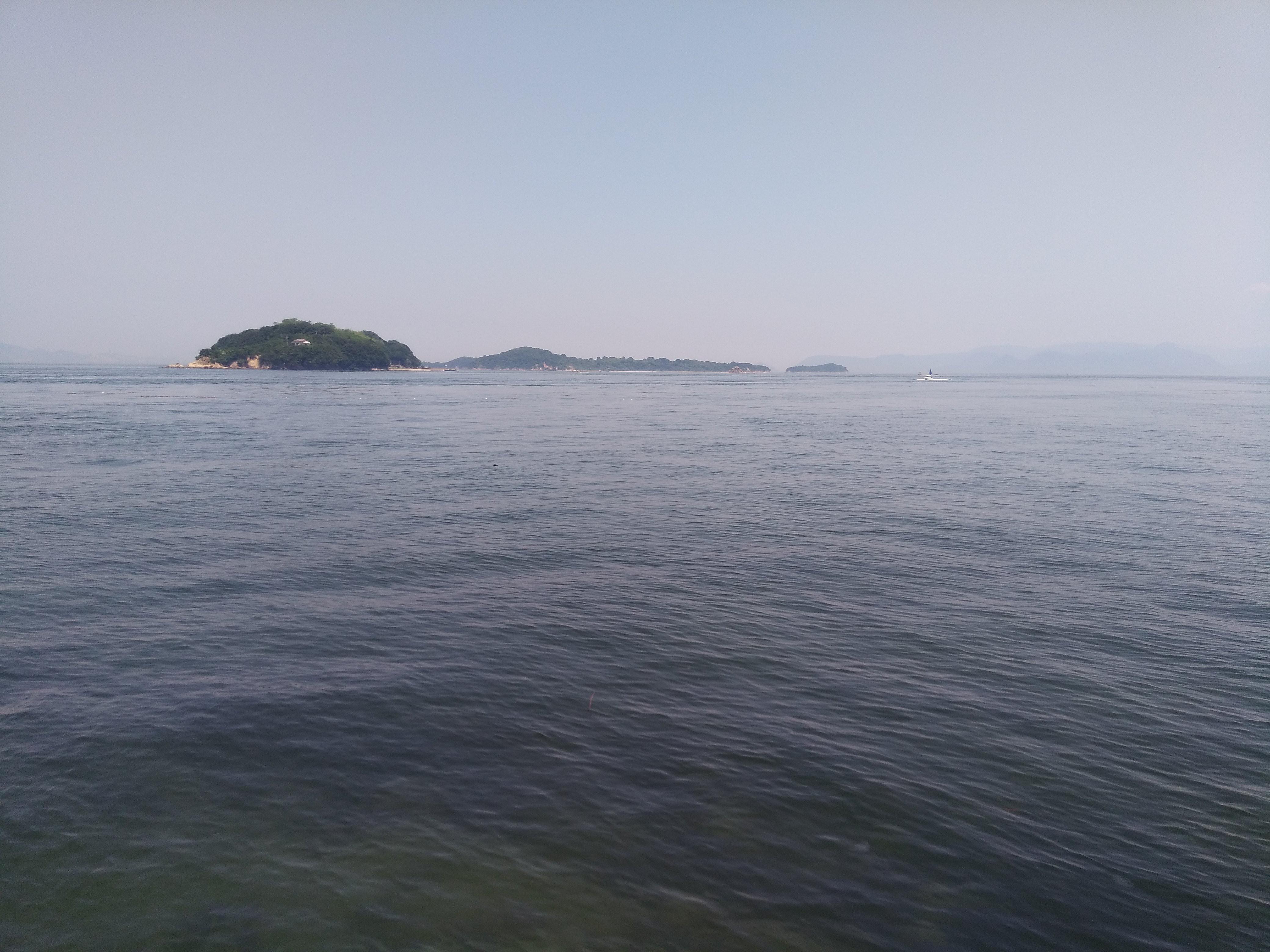 f:id:rokuren6:20181223181931j:image f:id:rokuren6:20181223181931j:image
