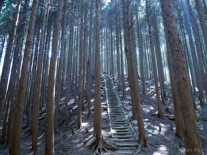 ダイヤモンドトレール