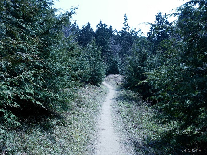 ダイトレのトレイル