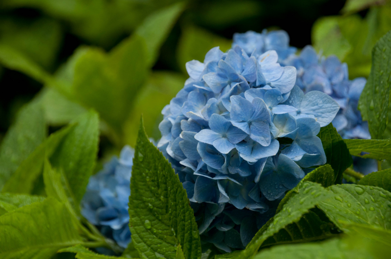 f:id:rokuroh:20100701160302j:image f:id:rokuroh:20100701160302j:image