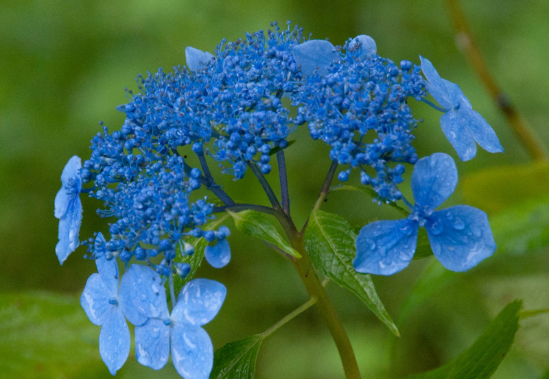 f:id:rokuroh:20100701172035j:image f:id:rokuroh:20100701172035j:image
