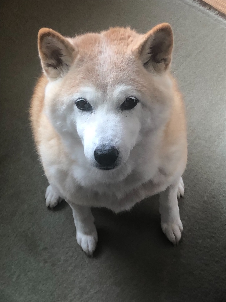 f:id:rokusan-log:20211207100857j:image