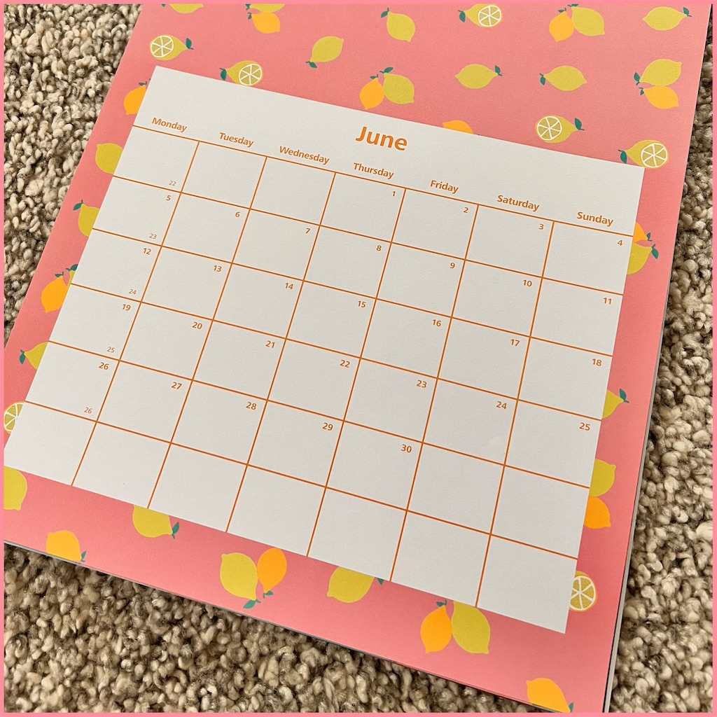 f:id:rokusan-log:20230616075452j:image