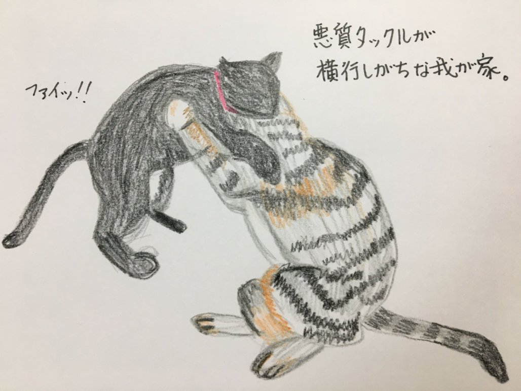 f:id:rokusuke7korobi:20191214161620j:plain f:id:rokusuke7korobi:20191214161620j:plain